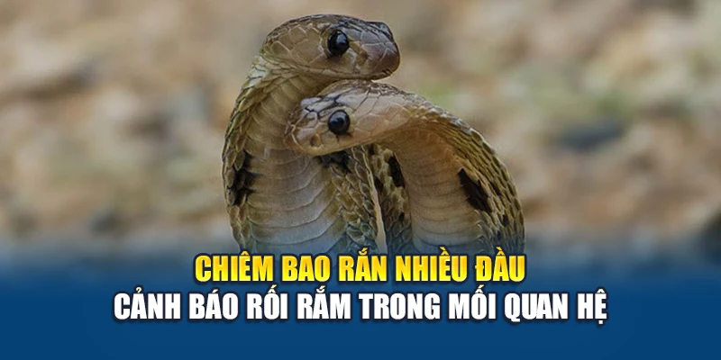 Mơ Thấy Rắn - Giải Mã Điềm Lành Hay Cảnh Báo Ẩn Sâu 2 Chiêm bao rắn nhiều đầu cảnh báo rối rắm trong mối quan hệ